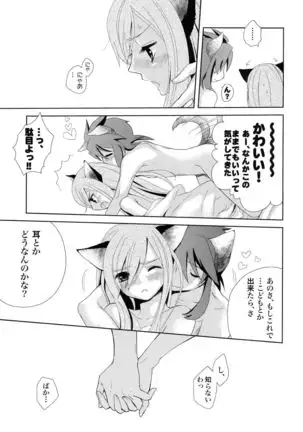 Meshimase Miso Panna