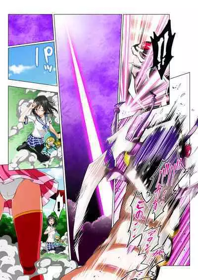 Warriors of the Four Leaves: CloveRose