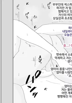 Boshi Furin Seikatsu ~Kaa-san to Gachihame Kairaku Choukyou no Natsu~