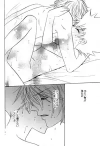 [CACAO (Atene)] TSUNA MANIA (Katekyoo Hitman REBORN!)