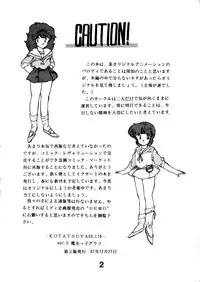 [Kotatsuya (Kotatsu Neko)] Majokko Graph (Various)