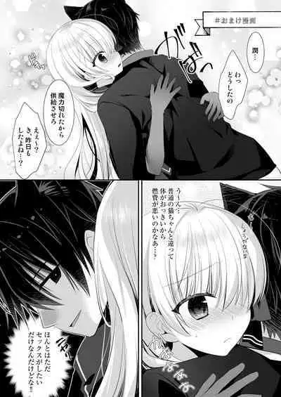 Ponkotsu Majo to Ijiwaru na Neko.