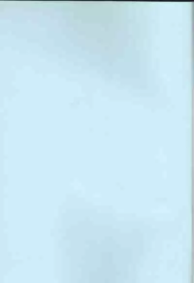 (C97) [Enamizawa Bijutsu Kikaku (Enamizawa)] Shishi no Hanayome (Fire Emblem - Three Houses)