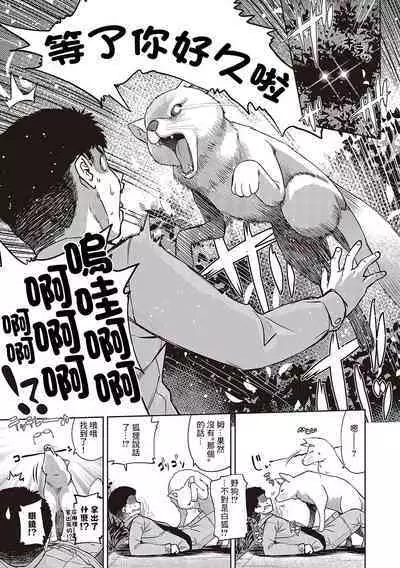 Mateba Megane no Kitsune Ari