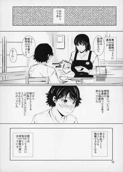 (C87) [Tenguren (Nario)] Boketsu o Horu 14