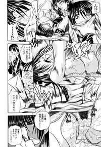 [Tachibana Naoki] Love Generation