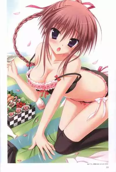 Hatsuyuki Sakura Visual Fanbook