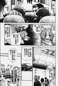 [Kobayashi Takumi] Wild Cats | 性感小野貓 [Chinese] [Incomplete]
