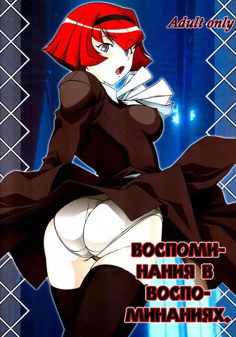 Memory Within A Memory