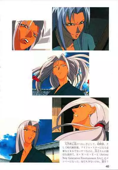 This is Animation Pocket- Chouja Reideen Character Book