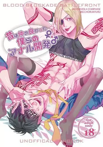 Mukashi wa Naka no Yokatta Bokura no Anaru Kaihatsu