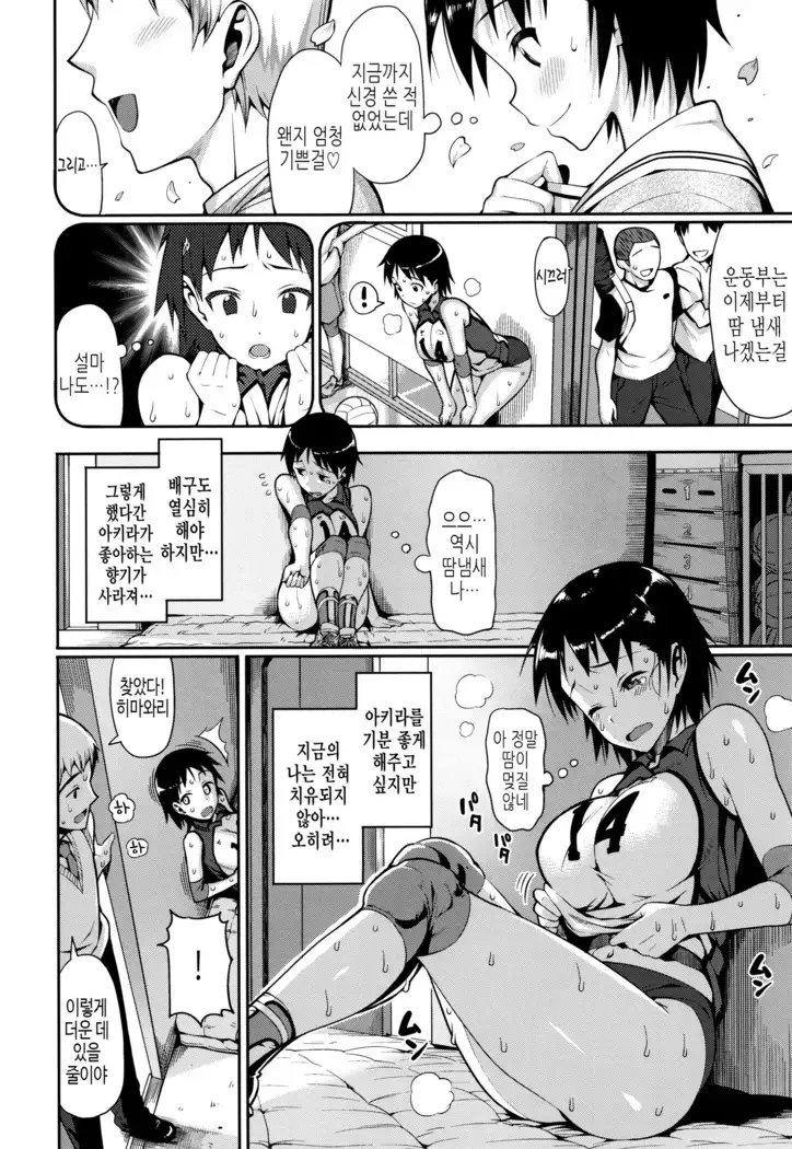 연인사이 plus / コイナカplus