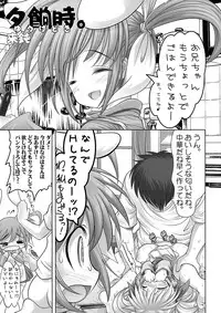 (C74) [STUDIO HUAN (Raidon)] New Nanofei. III (Mahou Shoujo Lyrical Nanoha)