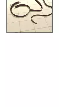 Take a Peek 偷窥 Ch.39~54 [Chinese]中文