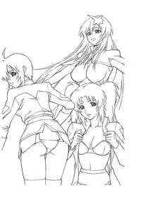 (C68) [Human High-Light Film (Ankoku Daimaou)] Meer to Lunamaria to Meyrin (Gundam SEED DESTINY)