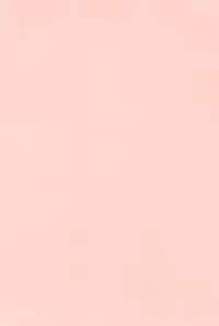 (C92) [Tori no Ya (Mashikodori)] Suki na no wa Onii-chan mo Issho