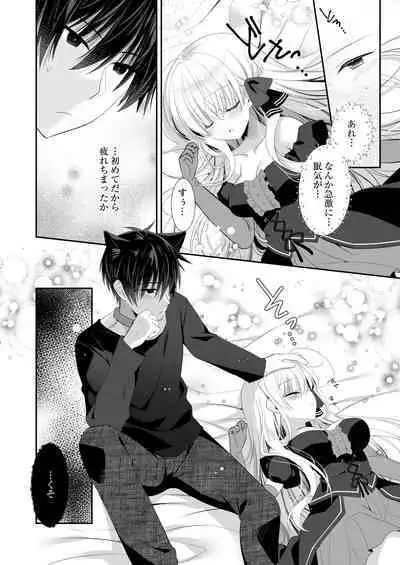 Ponkotsu Majo to Ijiwaru na Neko.