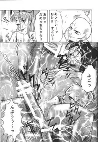 (C56) [Acid Noel (Mitsuki Rintarou)] Midnight Neurotic Report (Berserk)