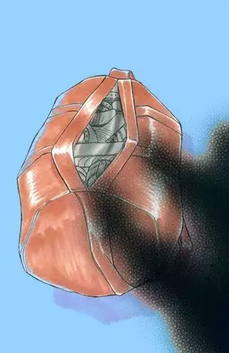 RTK Book Ver. 8.1: “‘Tsuki’ Monogatari Daiichiwa ‘Hitagi Crab’”