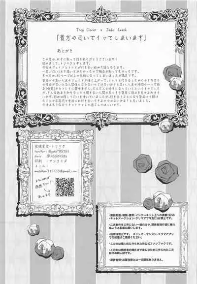 (Beckon of the Mirror 9) [Sumiyaki Teishoku (Toriniku)] Anata no Nioi de Itte Shimaimasu (Disney: Twisted-Wonderland)