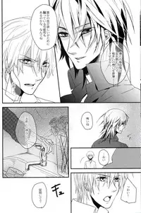 [lucciola (Mikawa Mimi)] The Beasts Party (Vampire Knight)