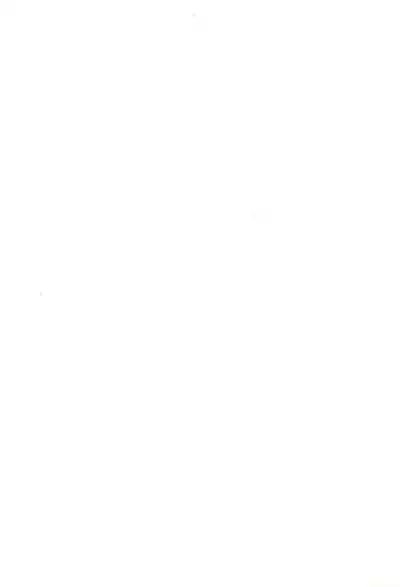 (C55) [Chinpoko Machine (Uchino Bungo)] Hone (Various)