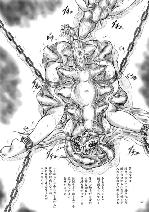 Shokushu-sama no nie