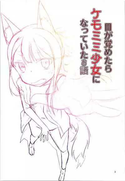 Me Ga Sametara kemomimishoujo ni natteita ohanashi