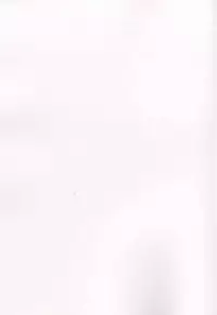 (C93) [Funi Funi Lab (Tamagoro)] MAO FRIENDS2 (Pokémon)