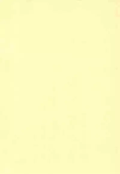 Wagamama Koneko no Shitsukekata. | 任性小猫的教育方式