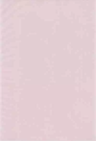 (C51) [RAINBOW FORCE (Minakami Hiroki)] Be WILD (Bakusou Kyoudai Let's & Go!!)