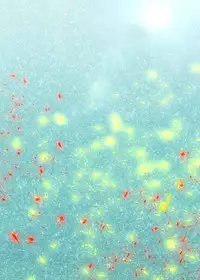 [Muboubi-kei Momokami Kyonyuu Bishoujo (Miton)] SUNNY DAY PANTS! (Love Live!) [Chinese] [脸肿汉化组] [Digital]