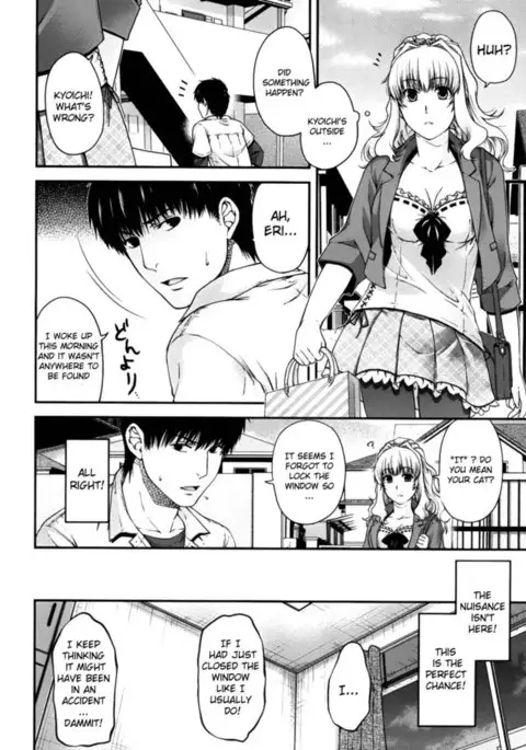 The Equation of the Cat and Me