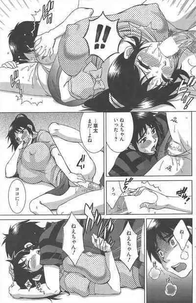 Manga Bangaichi 2013-01