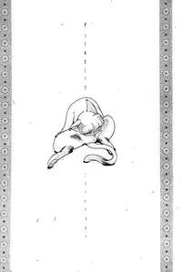 (C77) [... Mou Ii Desu. (Jinmu Hirohito)] Pink wa In (ry | Pink Is Obscene (Ranma 1/2) [English] [SaHa]