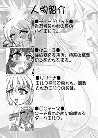 [SLW (Q1)] Aidorei Elf Senki 2 (Record of Lodoss War) [Digital]