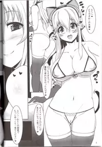 (C83) [NOSEBLEED (Miyamoto Issa)] Joukyou Kansou (Super Sonico)