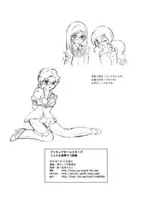 PreCure All Stars Ryona & Ryoujoku Rough Gashuu