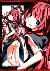 Dies irae Visual Fanbook - Red Book (Resale Version)