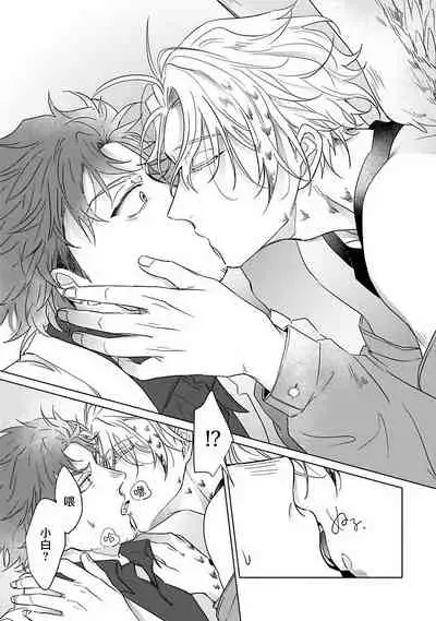 Fukurou no Koiwazurai | 猫头鹰的相思病