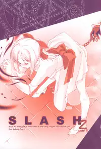 (C66) [Renai Mangaka (Naruse Hirofume)] SLASH 2 Side B (Fate/stay night)