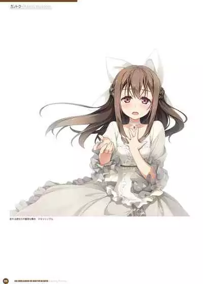 Kantoku Publicity Visual book