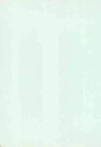 YOSIDAYA HONPO VOL.3