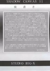 (CR28) [Studio BIG-X (Arino Hiroshi)] SHADOW CANVAS 11 (AIR)