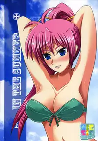 (C76) [FANTASY WIND (Shinano Yura)] SIGSIG ex (Mahou Shoujo Lyrical Nanoha [Magical Girl Lyrical Nanoha]) [English] [Slayerjammer]