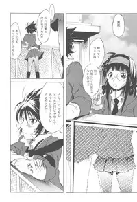 [Fudou Ran] Koitama [Digital]