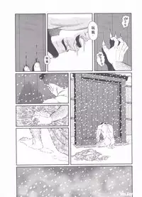 [Gengoroh Tagame][田龟源五郎] Shirogane-no-Hana The Silver Flower vol.3[银之华] [Chinese]