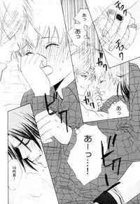 [CACAO (Atene)] TSUNA MANIA (Katekyoo Hitman REBORN!)