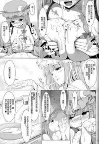 (Reitaisai 11) [TOYBOX, Kujira Logic (Kurikara, Kujiran)] Gensoukyou Chichi Zukan - Chi (Touhou Project) [Chinese] [CE家族社]