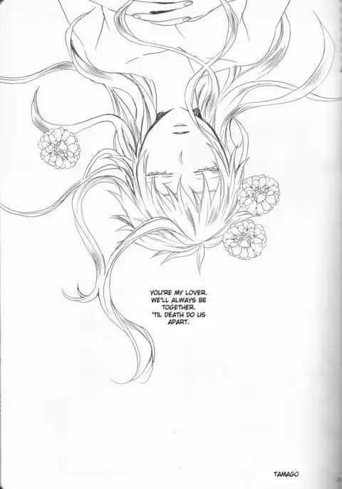 Marshmallow chocolate